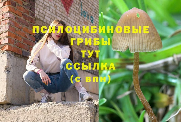 марки nbome Аркадак