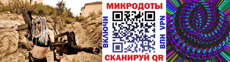 дарнет шоп  Усть-Кут  Псилоцибиновые грибы GOLDEN TEACHER 